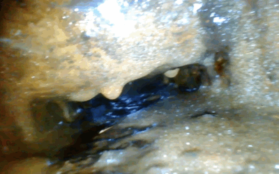 Fett schlägt Wachs: Der 20-Jahres-Hohlraum-Test!!! – TEIL 5